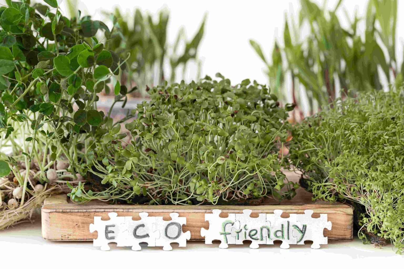 Sustainable Materials